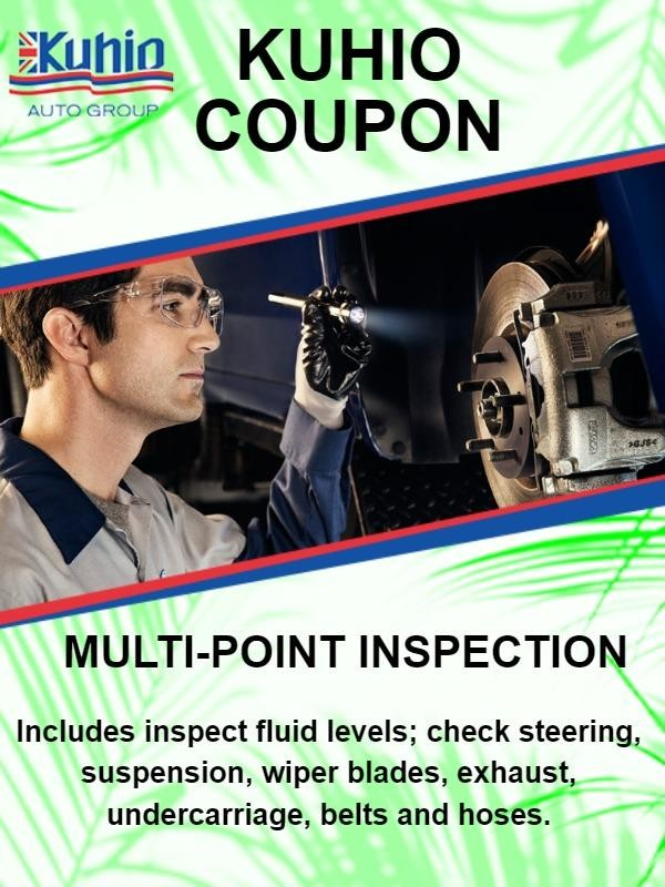 Multi Point Inspection